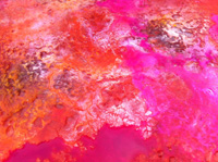 close up of fire 1 painting